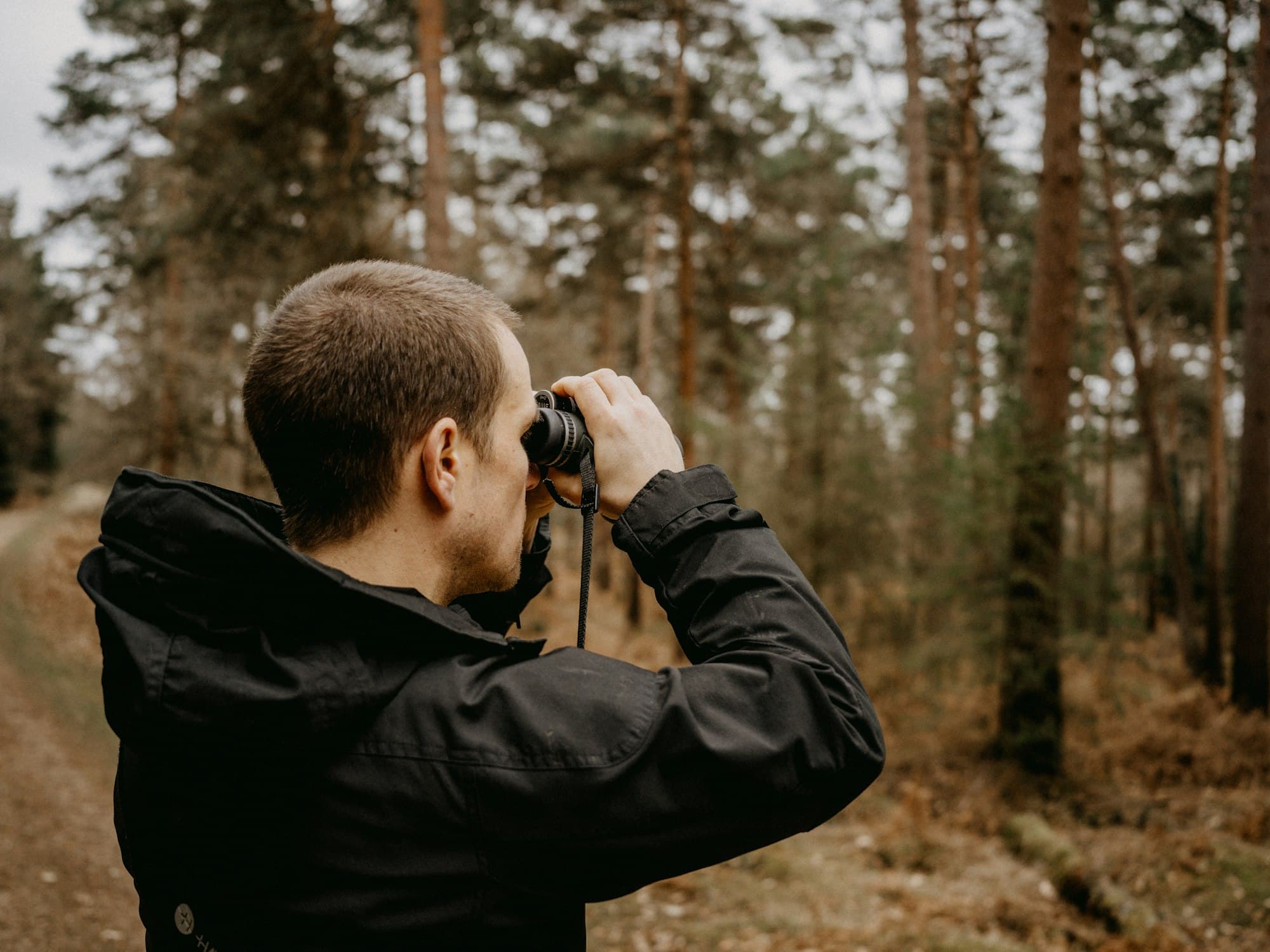 A man looking through binoculars in a forest, scanning for a better option